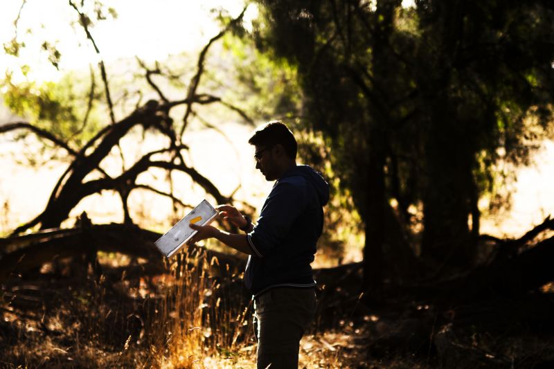 Man looking into a small mammal trap he is holding, standing in silhouette against setting sun, trees and scrub