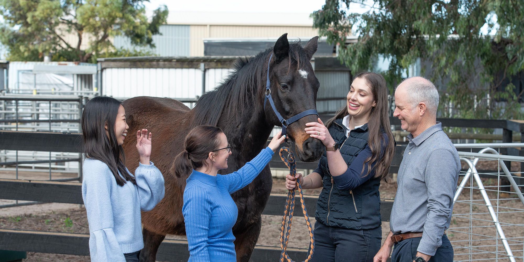 A horse in a yard with four people standing around it talking