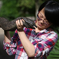 Dr Jing Che holding an amphibian