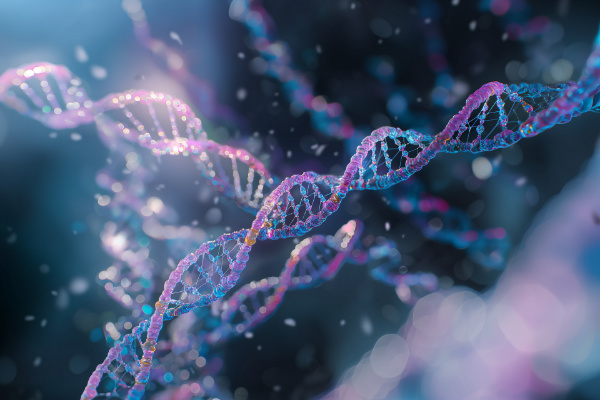 Strands of DNA