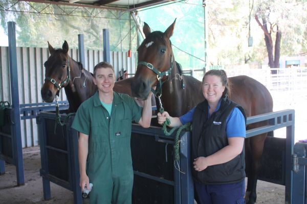 Two people standing with two horses