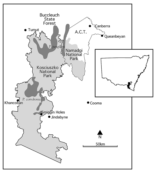 Frog map